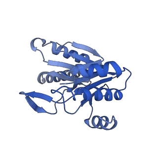 6287_6bdf_F_v1-4
2.8 A resolution reconstruction of the Thermoplasma acidophilum 20S proteasome using cryo-electron microscopy