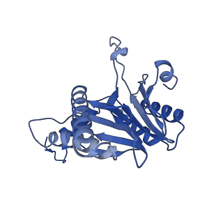 6287_6bdf_G_v1-3
2.8 A resolution reconstruction of the Thermoplasma acidophilum 20S proteasome using cryo-electron microscopy