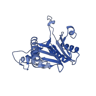 6287_6bdf_G_v1-4
2.8 A resolution reconstruction of the Thermoplasma acidophilum 20S proteasome using cryo-electron microscopy