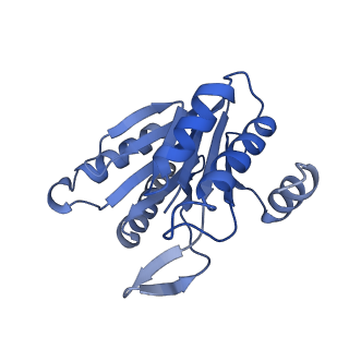 6287_6bdf_H_v1-4
2.8 A resolution reconstruction of the Thermoplasma acidophilum 20S proteasome using cryo-electron microscopy