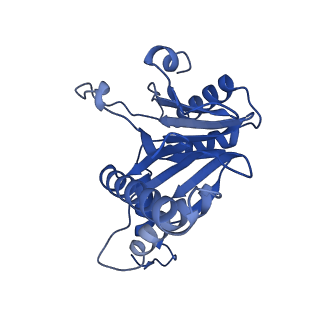 6287_6bdf_I_v1-4
2.8 A resolution reconstruction of the Thermoplasma acidophilum 20S proteasome using cryo-electron microscopy