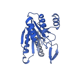 6287_6bdf_J_v1-3
2.8 A resolution reconstruction of the Thermoplasma acidophilum 20S proteasome using cryo-electron microscopy