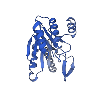 6287_6bdf_J_v1-4
2.8 A resolution reconstruction of the Thermoplasma acidophilum 20S proteasome using cryo-electron microscopy