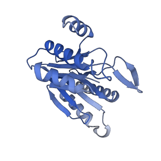 6287_6bdf_L_v1-4
2.8 A resolution reconstruction of the Thermoplasma acidophilum 20S proteasome using cryo-electron microscopy