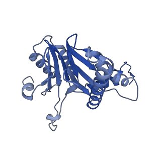 6287_6bdf_M_v1-3
2.8 A resolution reconstruction of the Thermoplasma acidophilum 20S proteasome using cryo-electron microscopy
