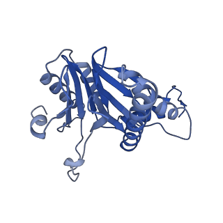 6287_6bdf_M_v1-4
2.8 A resolution reconstruction of the Thermoplasma acidophilum 20S proteasome using cryo-electron microscopy