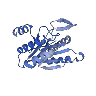 6287_6bdf_N_v1-4
2.8 A resolution reconstruction of the Thermoplasma acidophilum 20S proteasome using cryo-electron microscopy