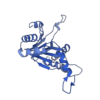 6287_6bdf_O_v1-3
2.8 A resolution reconstruction of the Thermoplasma acidophilum 20S proteasome using cryo-electron microscopy