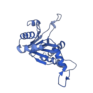 6287_6bdf_O_v1-4
2.8 A resolution reconstruction of the Thermoplasma acidophilum 20S proteasome using cryo-electron microscopy