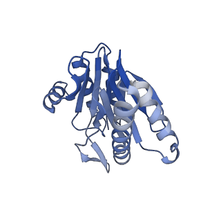 6287_6bdf_P_v1-4
2.8 A resolution reconstruction of the Thermoplasma acidophilum 20S proteasome using cryo-electron microscopy