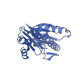 6287_6bdf_R_v1-4
2.8 A resolution reconstruction of the Thermoplasma acidophilum 20S proteasome using cryo-electron microscopy