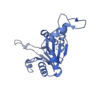 6287_6bdf_S_v1-4
2.8 A resolution reconstruction of the Thermoplasma acidophilum 20S proteasome using cryo-electron microscopy