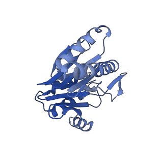 6287_6bdf_T_v1-4
2.8 A resolution reconstruction of the Thermoplasma acidophilum 20S proteasome using cryo-electron microscopy