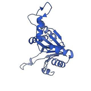 6287_6bdf_U_v1-4
2.8 A resolution reconstruction of the Thermoplasma acidophilum 20S proteasome using cryo-electron microscopy