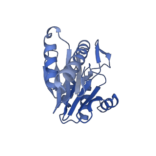 6287_6bdf_V_v1-4
2.8 A resolution reconstruction of the Thermoplasma acidophilum 20S proteasome using cryo-electron microscopy