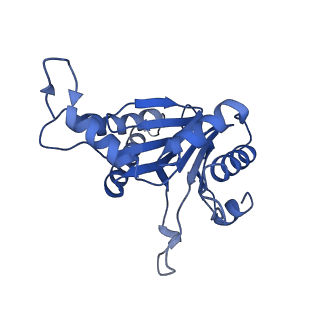 6287_6bdf_W_v1-4
2.8 A resolution reconstruction of the Thermoplasma acidophilum 20S proteasome using cryo-electron microscopy