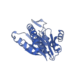 6287_6bdf_X_v1-3
2.8 A resolution reconstruction of the Thermoplasma acidophilum 20S proteasome using cryo-electron microscopy