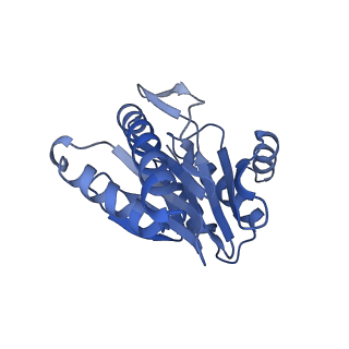 6287_6bdf_X_v1-4
2.8 A resolution reconstruction of the Thermoplasma acidophilum 20S proteasome using cryo-electron microscopy