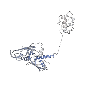 12156_7bef_A_v1-1
Structures of class II bacterial transcription complexes