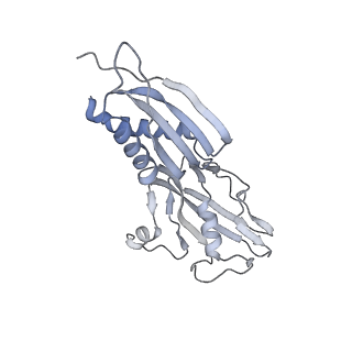 12156_7bef_B_v1-1
Structures of class II bacterial transcription complexes