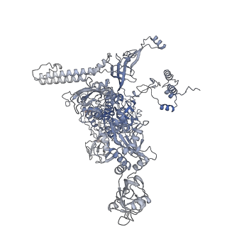 12156_7bef_C_v1-1
Structures of class II bacterial transcription complexes