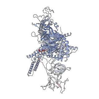 12156_7bef_D_v1-1
Structures of class II bacterial transcription complexes