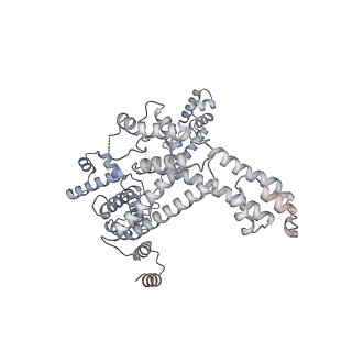 12156_7bef_F_v1-1
Structures of class II bacterial transcription complexes