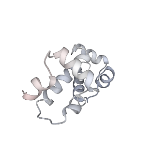 12156_7bef_G_v1-1
Structures of class II bacterial transcription complexes