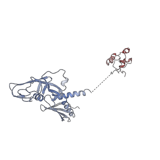 12157_7beg_A_v1-1
Structures of class I bacterial transcription complexes