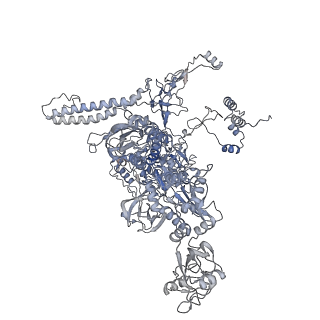 12157_7beg_C_v1-1
Structures of class I bacterial transcription complexes