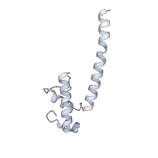 12157_7beg_E_v1-1
Structures of class I bacterial transcription complexes