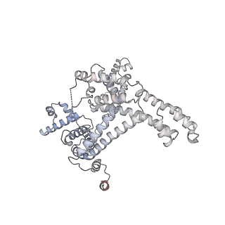12157_7beg_F_v1-1
Structures of class I bacterial transcription complexes