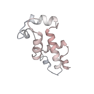 12157_7beg_G_v1-1
Structures of class I bacterial transcription complexes