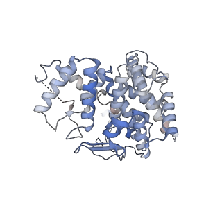 16004_8bei_A_v1-0
Structure of hexameric subcomplexes (Truncation Delta2-6) of the fractal citrate synthase from Synechococcus elongatus PCC7942