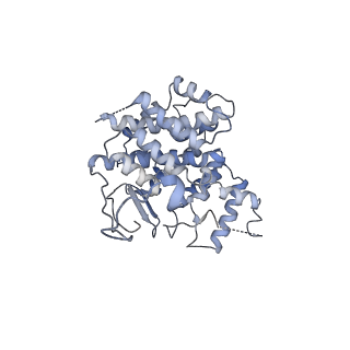 16004_8bei_B_v1-0
Structure of hexameric subcomplexes (Truncation Delta2-6) of the fractal citrate synthase from Synechococcus elongatus PCC7942