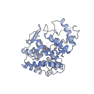 16004_8bei_C_v1-0
Structure of hexameric subcomplexes (Truncation Delta2-6) of the fractal citrate synthase from Synechococcus elongatus PCC7942