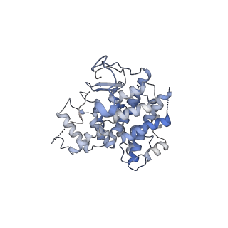 16004_8bei_E_v1-0
Structure of hexameric subcomplexes (Truncation Delta2-6) of the fractal citrate synthase from Synechococcus elongatus PCC7942