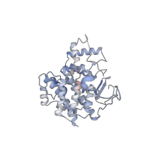 16004_8bei_F_v1-0
Structure of hexameric subcomplexes (Truncation Delta2-6) of the fractal citrate synthase from Synechococcus elongatus PCC7942