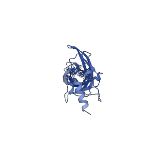 16005_8bej_A_v1-3
GABA-A receptor a5 homomer - a5V3 - APO
