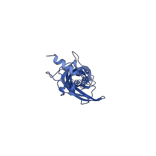 16005_8bej_C_v1-3
GABA-A receptor a5 homomer - a5V3 - APO