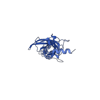 16005_8bej_E_v1-3
GABA-A receptor a5 homomer - a5V3 - APO