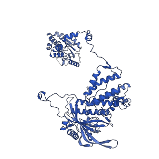 16006_8bek_A_v1-1
Early transcription elongation state of influenza A/H7N9 backtracked polymerase with singly incoporated T1106 at the U +1 position