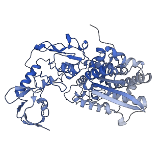 16011_8bew_A_v1-2
Cryo-EM structure of the electron bifurcating Fe-Fe hydrogenase HydABC complex from Thermoanaerobacter kivui in the oxidised state