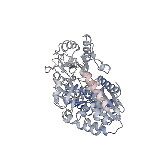 16011_8bew_B_v1-2
Cryo-EM structure of the electron bifurcating Fe-Fe hydrogenase HydABC complex from Thermoanaerobacter kivui in the oxidised state