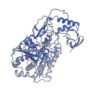 16011_8bew_D_v1-2
Cryo-EM structure of the electron bifurcating Fe-Fe hydrogenase HydABC complex from Thermoanaerobacter kivui in the oxidised state