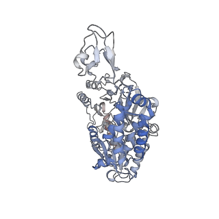 16011_8bew_E_v1-2
Cryo-EM structure of the electron bifurcating Fe-Fe hydrogenase HydABC complex from Thermoanaerobacter kivui in the oxidised state