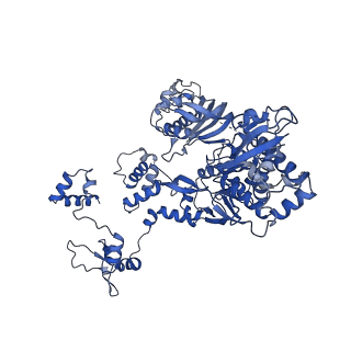 16013_8bf5_C_v1-1
Early transcription elongation state of influenza A/H7N9 polymerase stalled with incoming GTP analogue