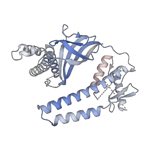 16016_8bf8_A_v1-2
ISDra2 TnpB in complex with reRNA