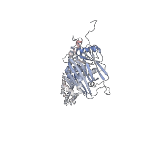 16020_8bfn_G_v1-1
E. coli Wadjet JetABC dimer of dimers