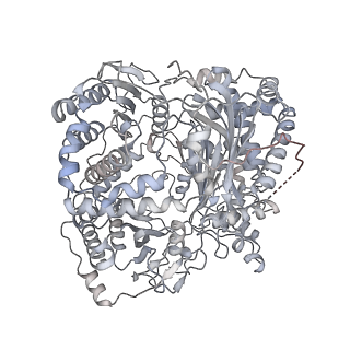7092_6bf8_A_v1-4
Cryo-EM structure of human insulin degrading enzyme in complex with insulin